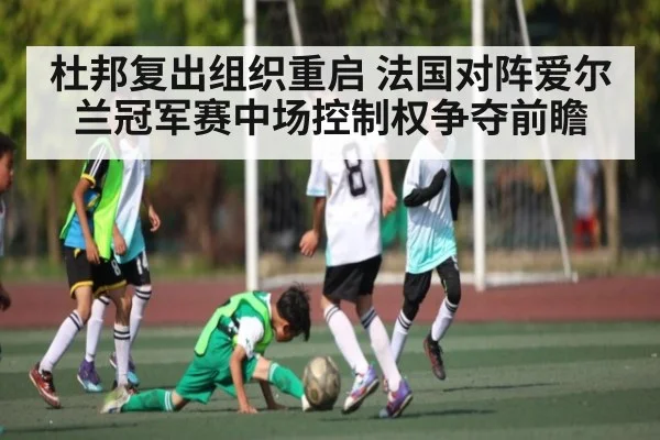 杜邦复出组织重启 法国对阵爱尔兰冠军赛中场控制权争夺前瞻